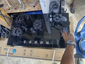 5in1 High Pressure Gas Cooker Counter Top