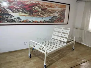 Painted Hospital Bed