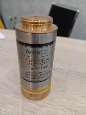 Electric Actuator