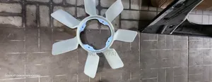 Radiator Fan
