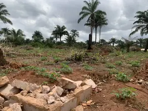 100ft by 200ft in Ogua Community