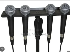 Multiple Mic Holder