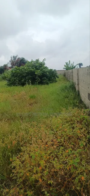 Sale Plot of Land at Oniyanrin by Dangote Refinery. Ibeju Lekki Lagos