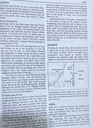 Bridgeway Bible Dictionary