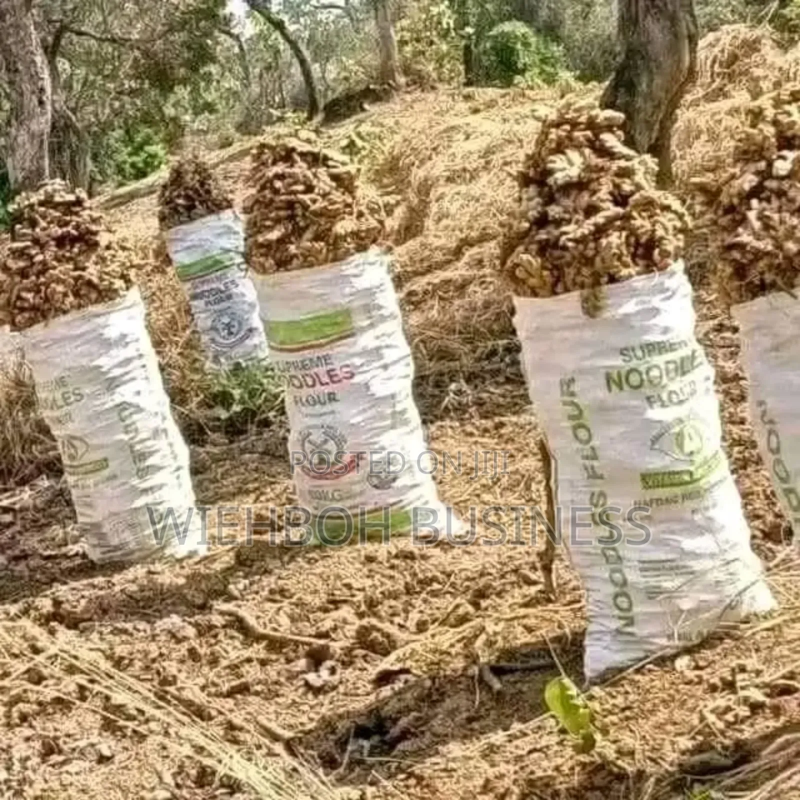 Fresh Ginger Dry Split Ginger