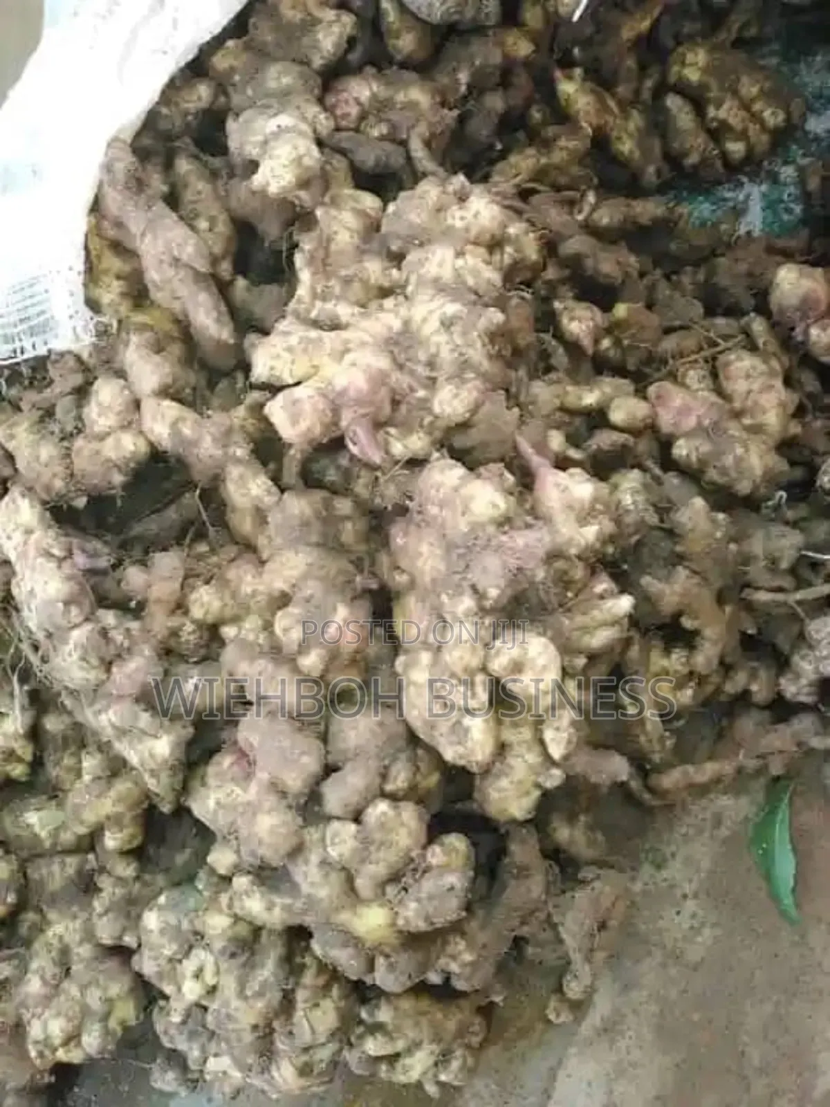 Fresh Ginger Dry Split Ginger