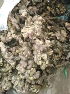 Fresh Ginger Dry Split Ginger