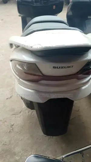 Suzuki 2010 White
