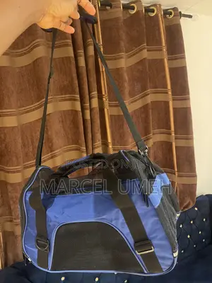 Dog/Cat Accessories