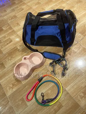 Dog/Cat Accessories
