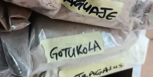 Gotu Kola Powder 250g