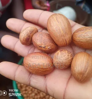 Neat Bitter Kola With Big Seeds