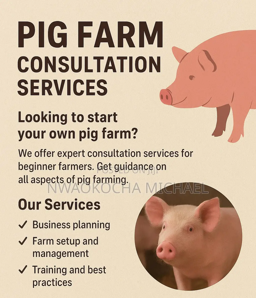 Start Your Pig Farming Journey With Expert Consultation
