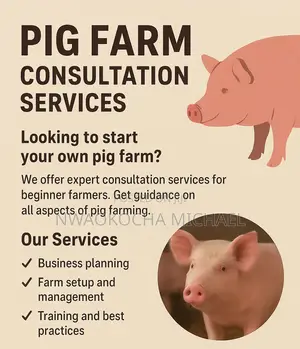 Start Your Pig Farming Journey With Expert Consultation