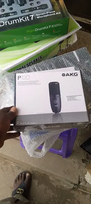Akg P120 Studio Mic