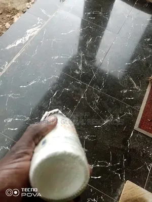 Oyster Mushroom(Spawn) Seeds