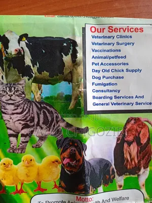 Veterinary Doctor