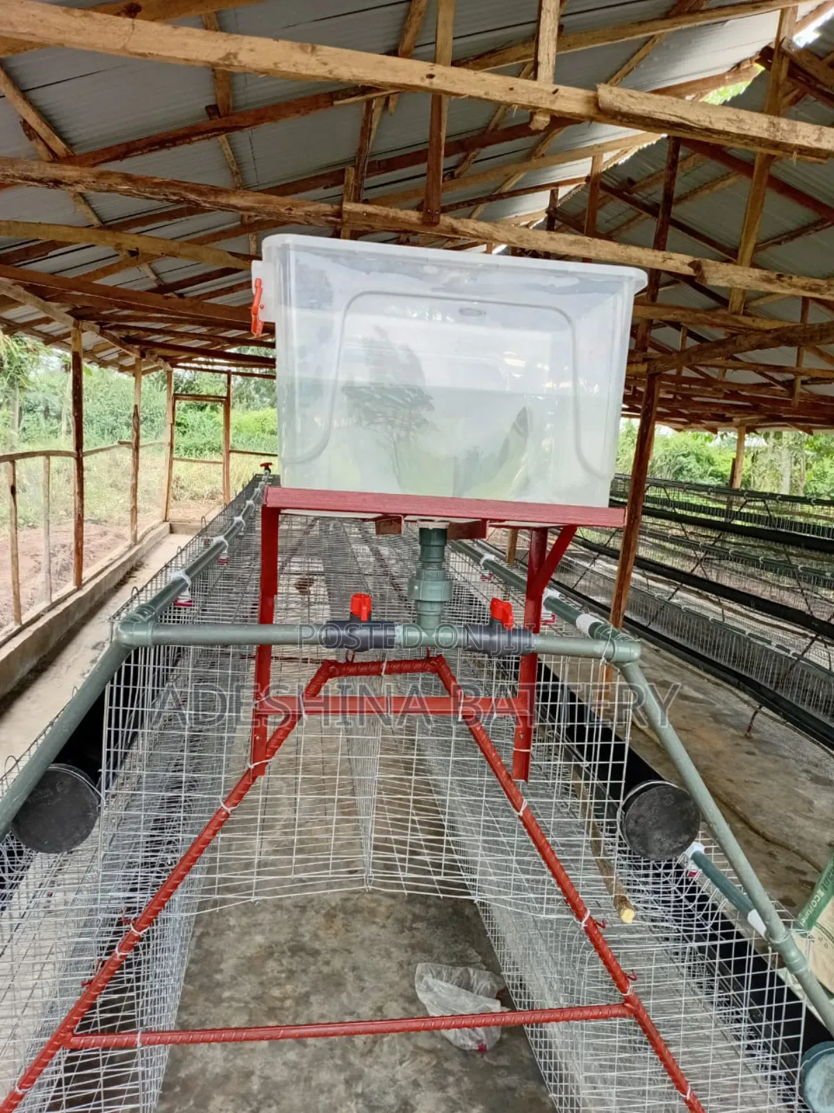 Complete New Local and Imported Cage