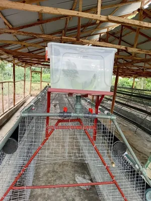 Complete New Local and Imported Cage
