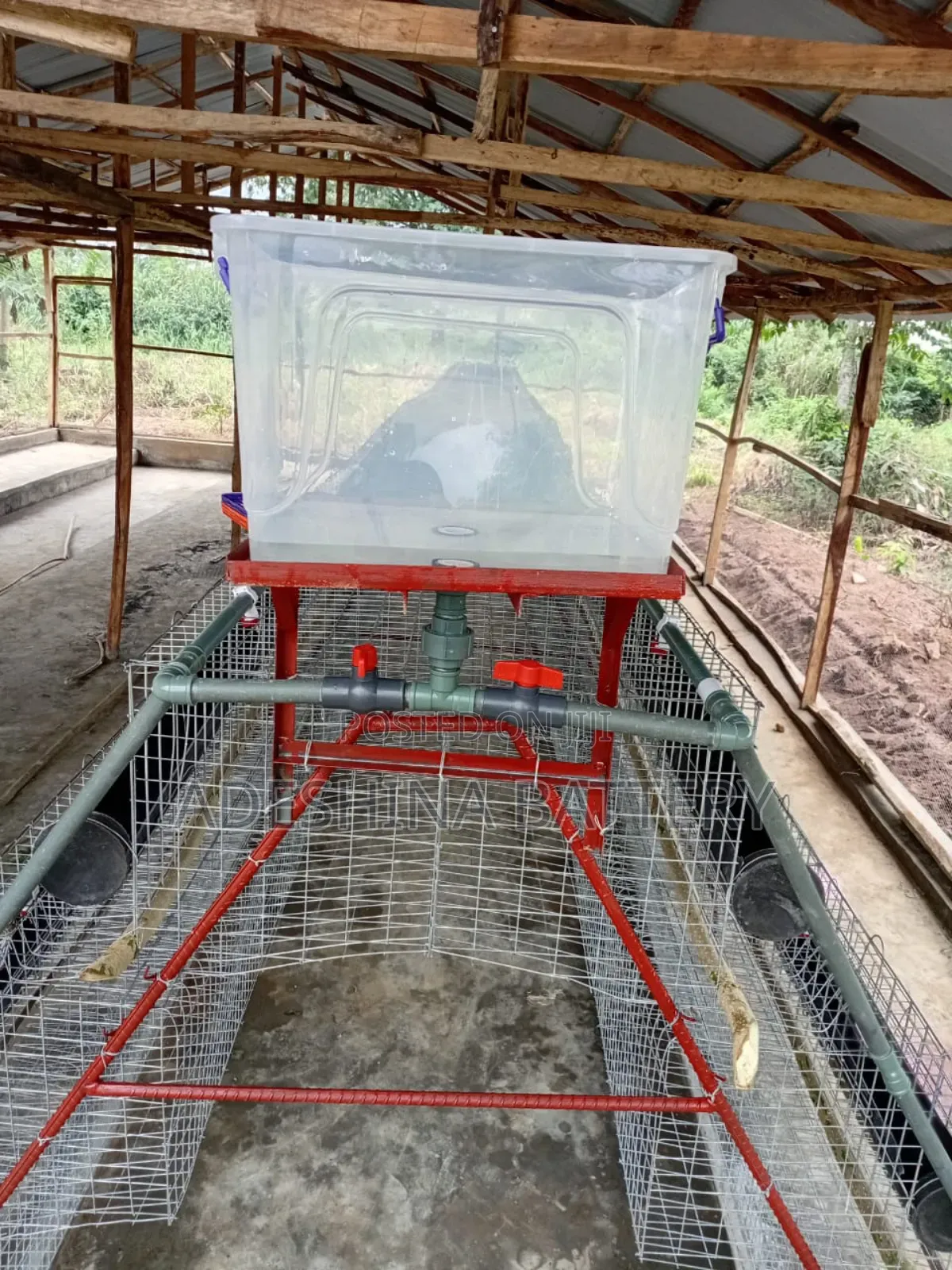 Complete New Local and Imported Cage