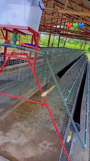 Complete New Local and Imported Cage