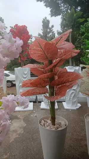 Flower for Home Decoration