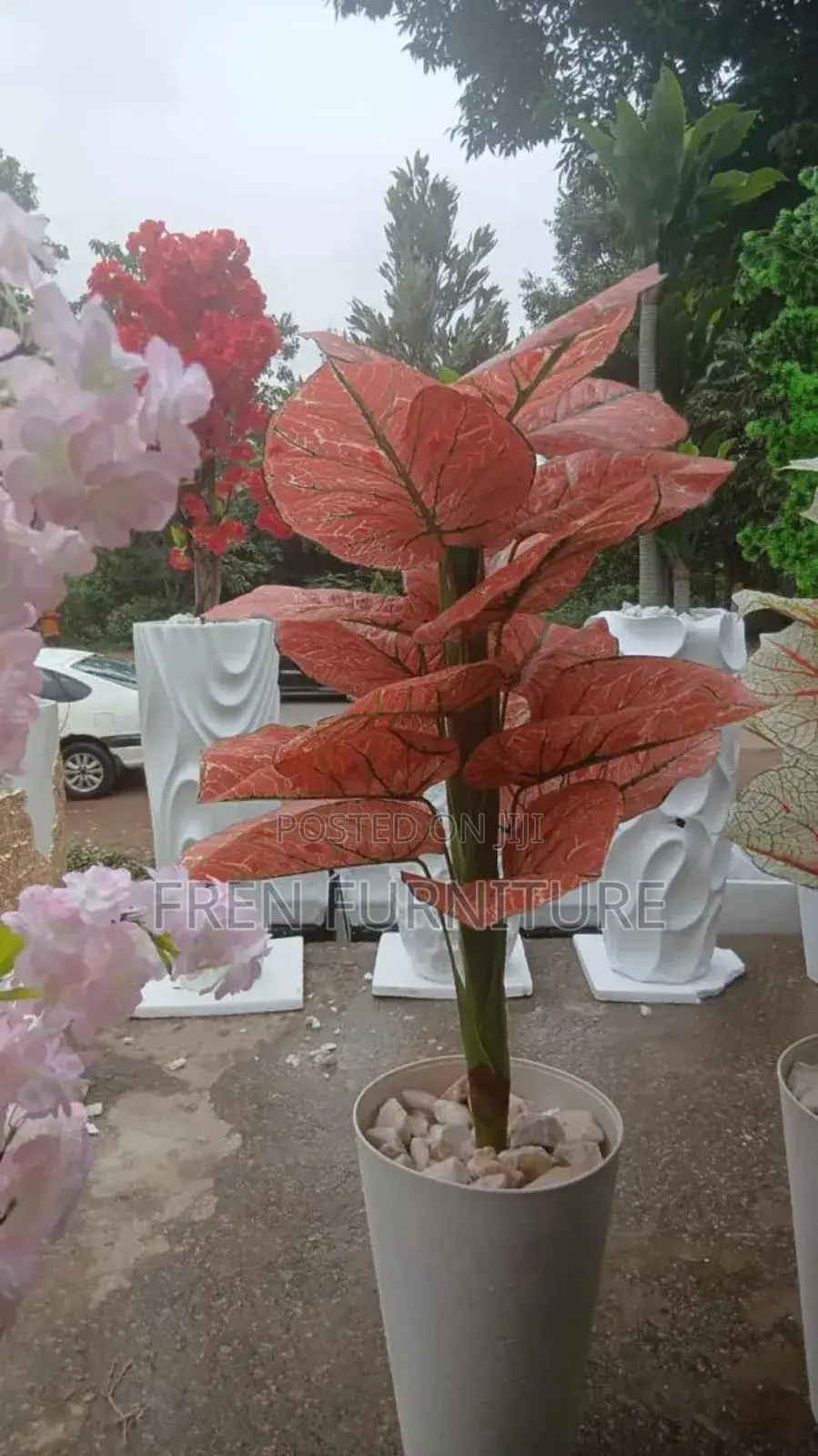 Flower for Home Decoration