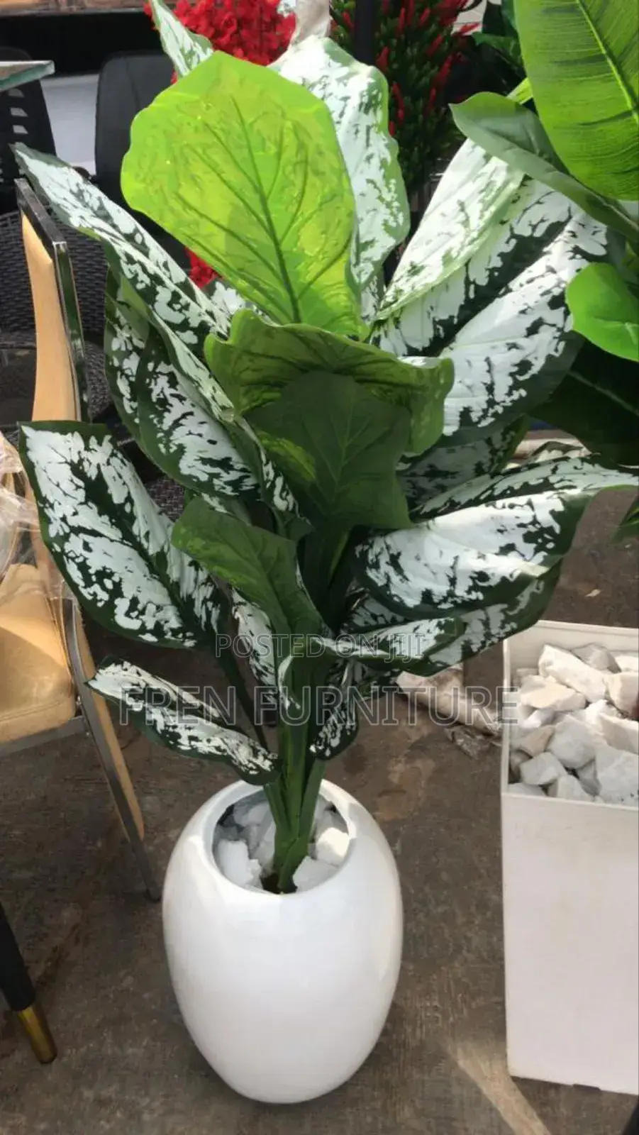 Flower for Home Decoration