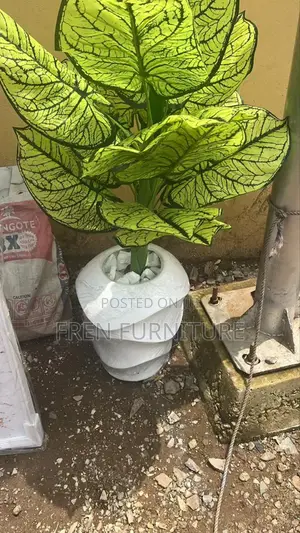 Flower for Home Decoration