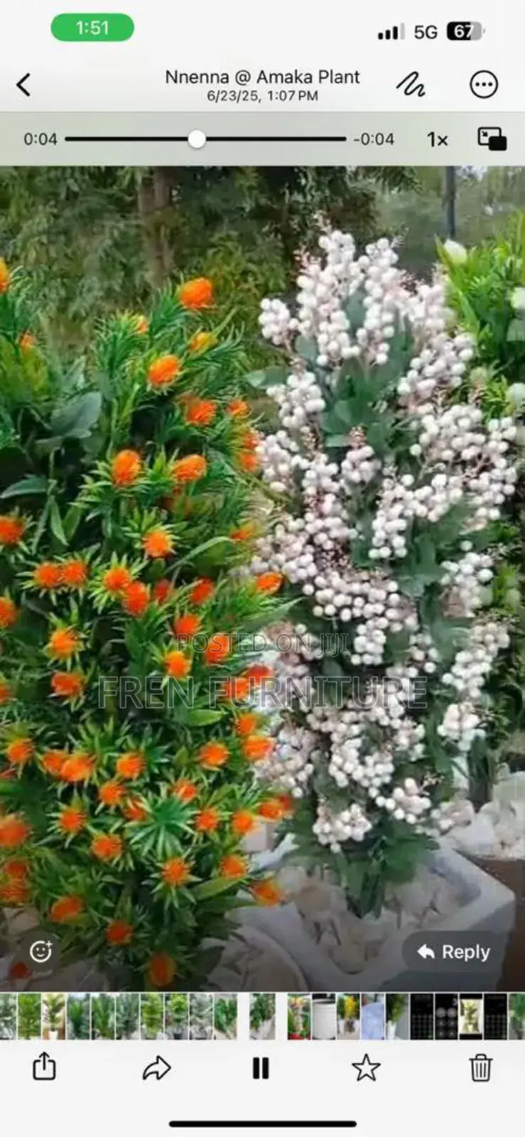 Flower for Home Decoration