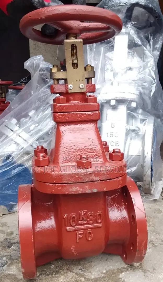 Gate Valve Cast Iron Flanged 80mm