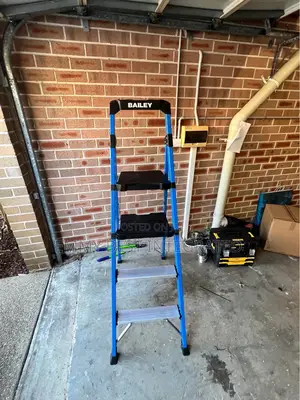 Bailey Twin Platform Ladder