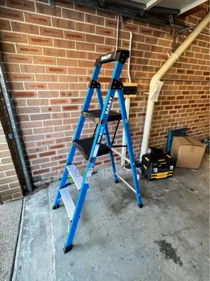 Bailey Twin Platform Ladder