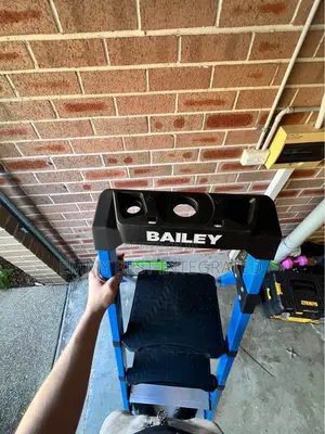 Bailey Twin Platform Ladder