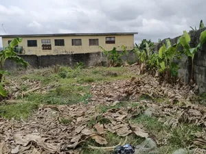 More Than Half Plot of Land at Ikola Command
