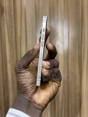 Apple iPhone 15 Pro 256 GB Gray