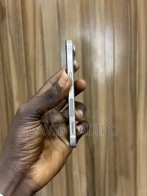 Apple iPhone 15 Pro 256 GB Gray