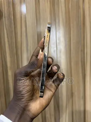 Apple iPhone 12 Pro Max 128 GB Gold