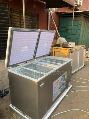 Deep Freezer Double Doors