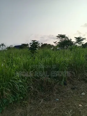 700sqm Demolishable Obasa Estate Oba Akran Ikeja Lagos