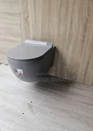 High Quality Conceal Water Closet