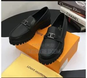 Louis Vuitton Designer Shoes