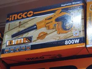 800w Air Blower