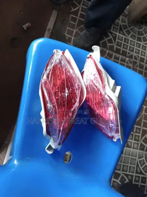 Back Reflector for Lexus Rx350 2010 Model Set