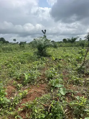 1 Acre of Farmland for Sale