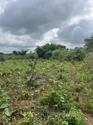 1 Acre of Farmland for Sale