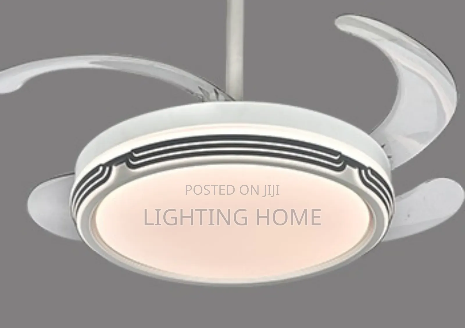 Fan Chandelier Light