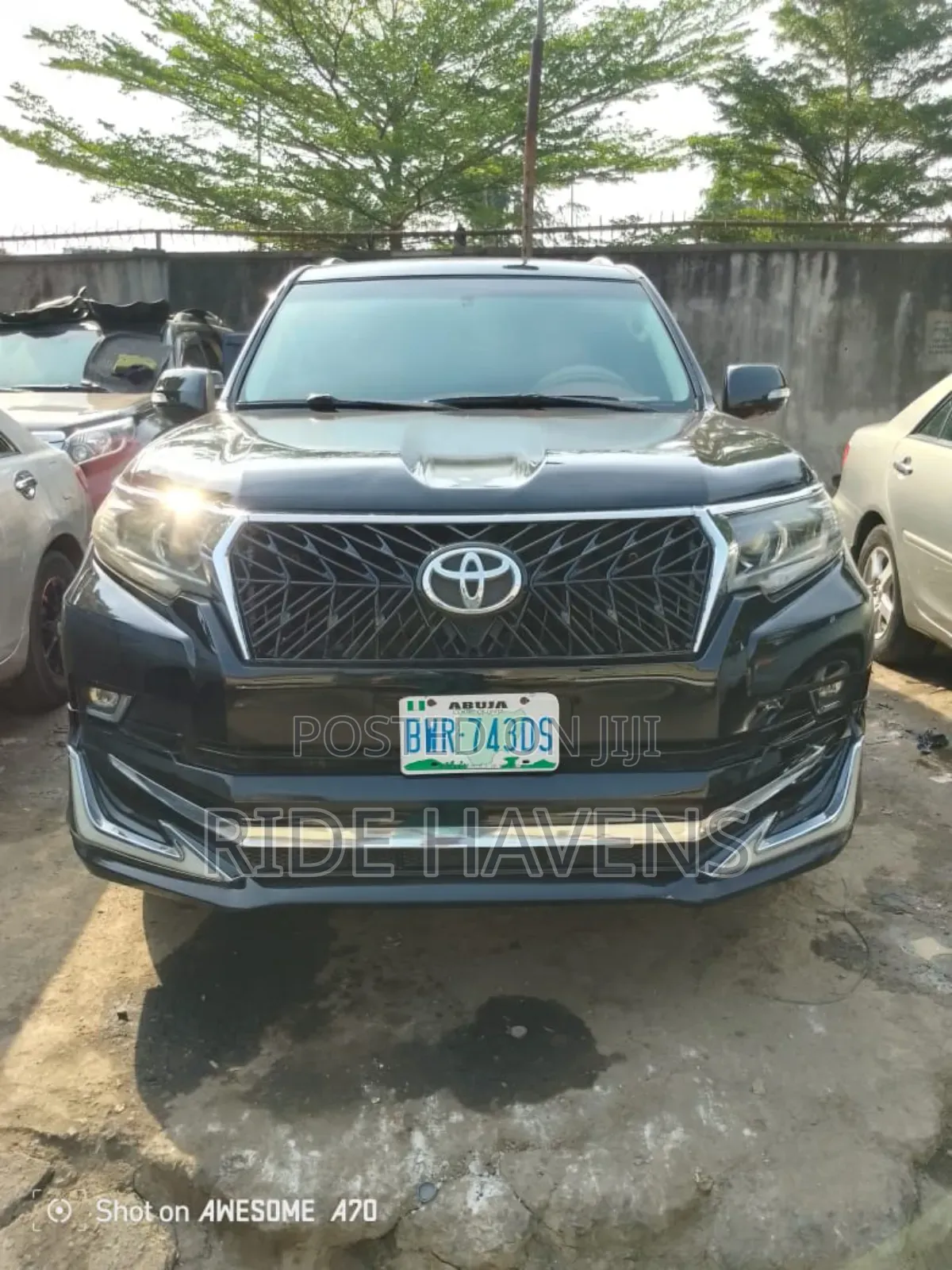 Prado for Hire