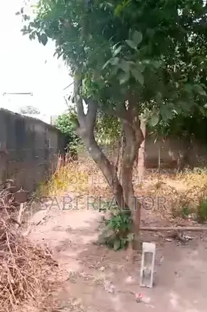 60x60ft of Land With a Driveway for Sale at Meiran