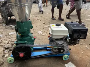 Palletizer Feed Processing Machine - Petrol Engine